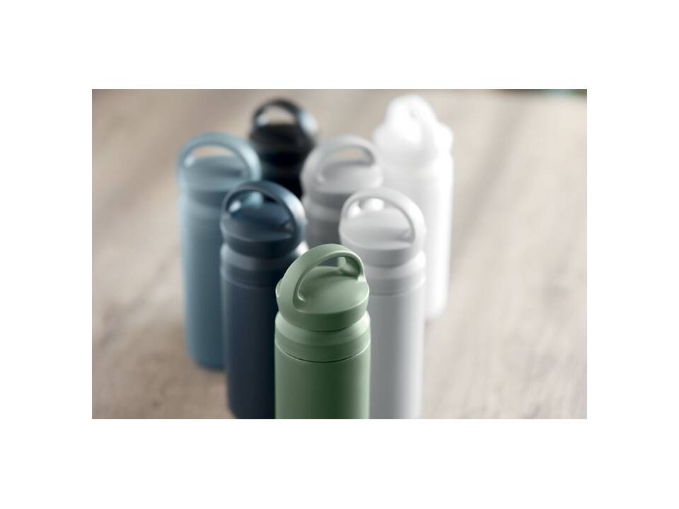 Dubbelwandige fles 320ml 31