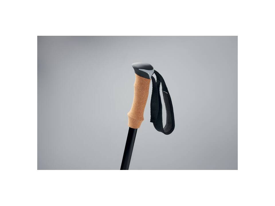 Nordic Walking stokken 4