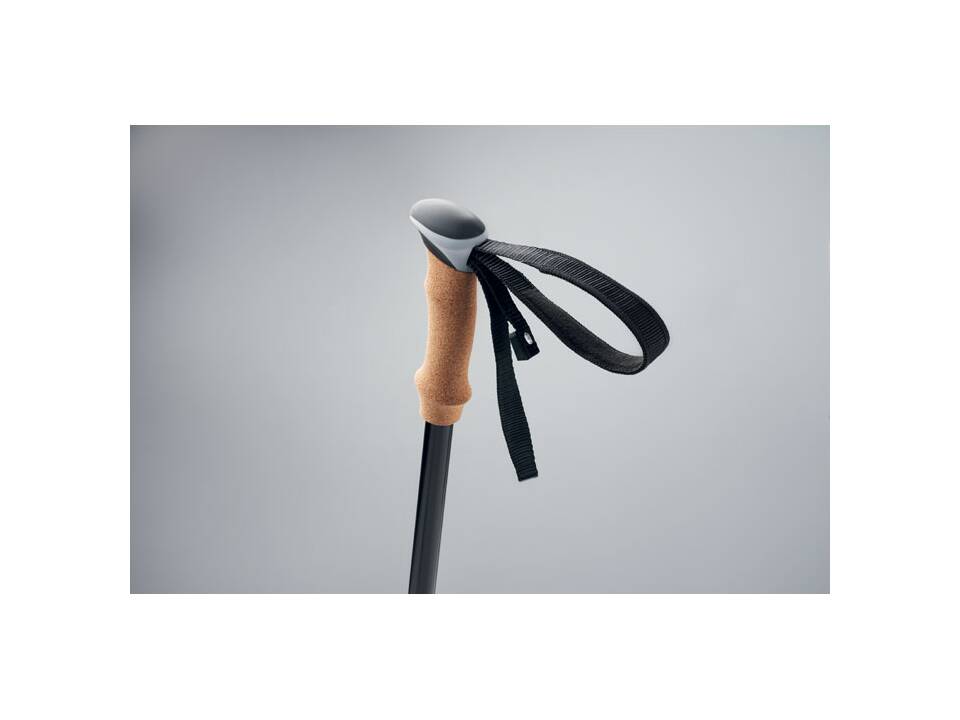 Nordic Walking stokken 5