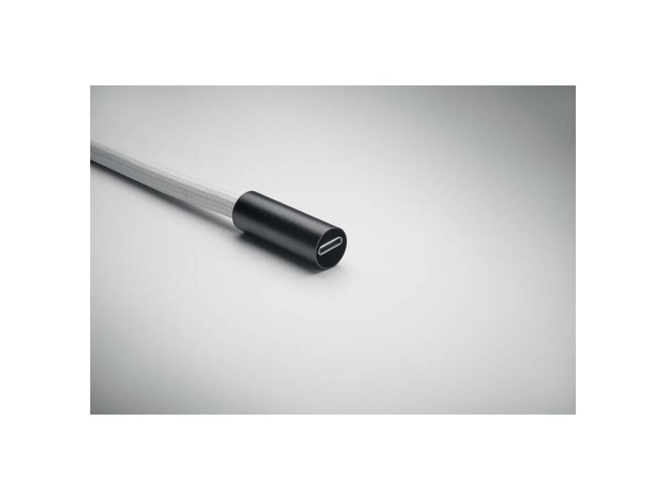 60W oplaad- en datakoord 10