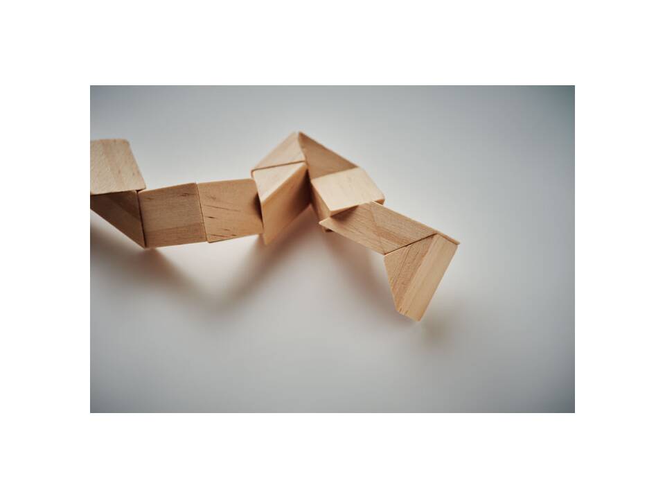 Houten puzzel en hersenbreker 1