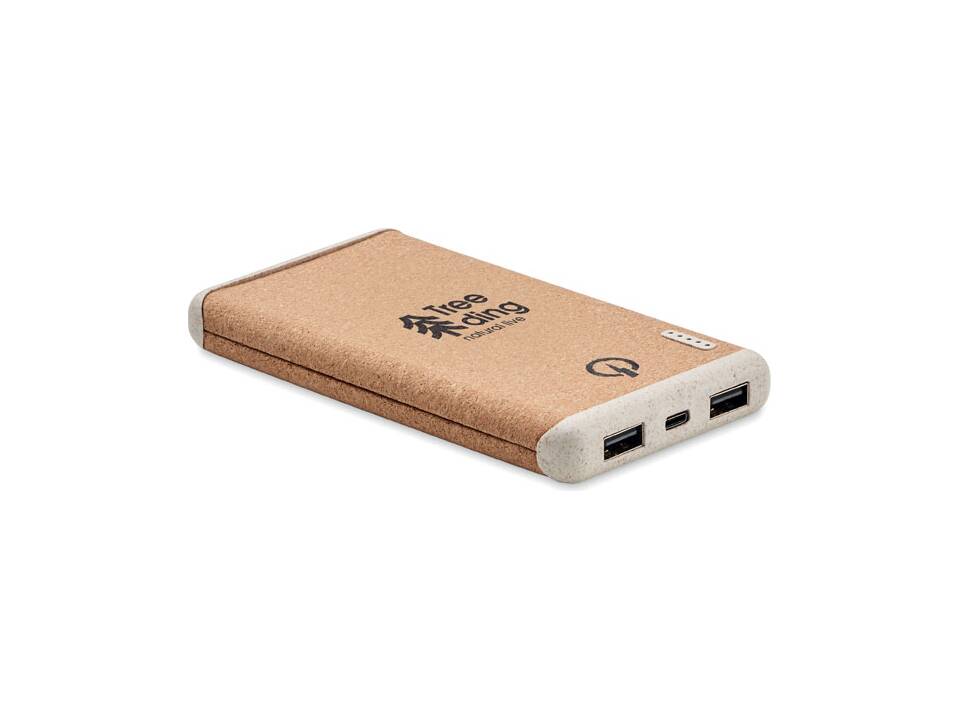 Draadloze 10W snellader en 10000 mAh PowerBank 2