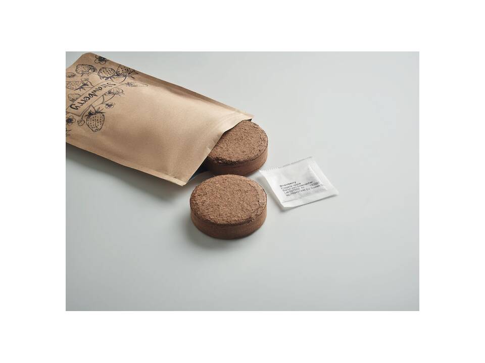 Aardbeien kweekset 1