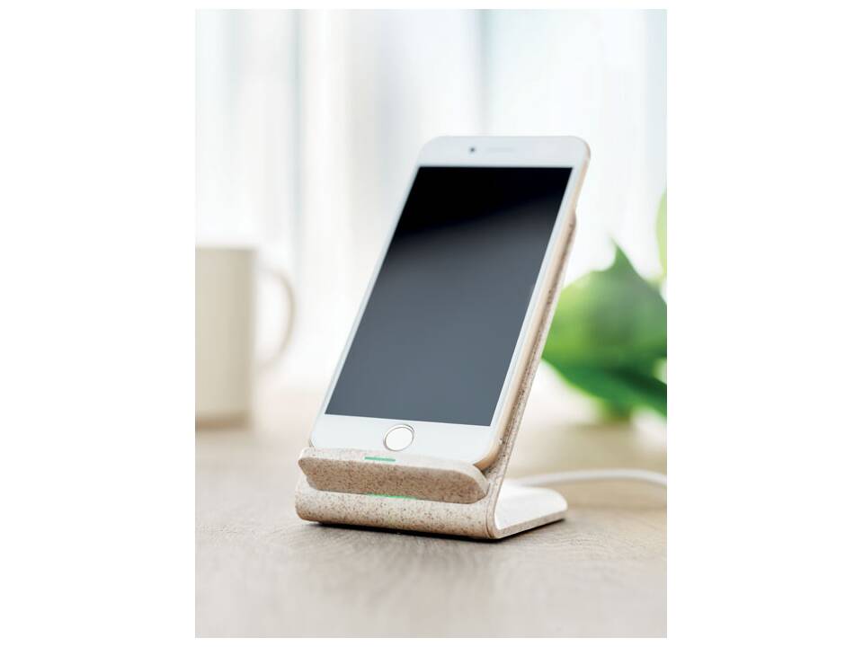 Tarwestro oplader en standaard 5