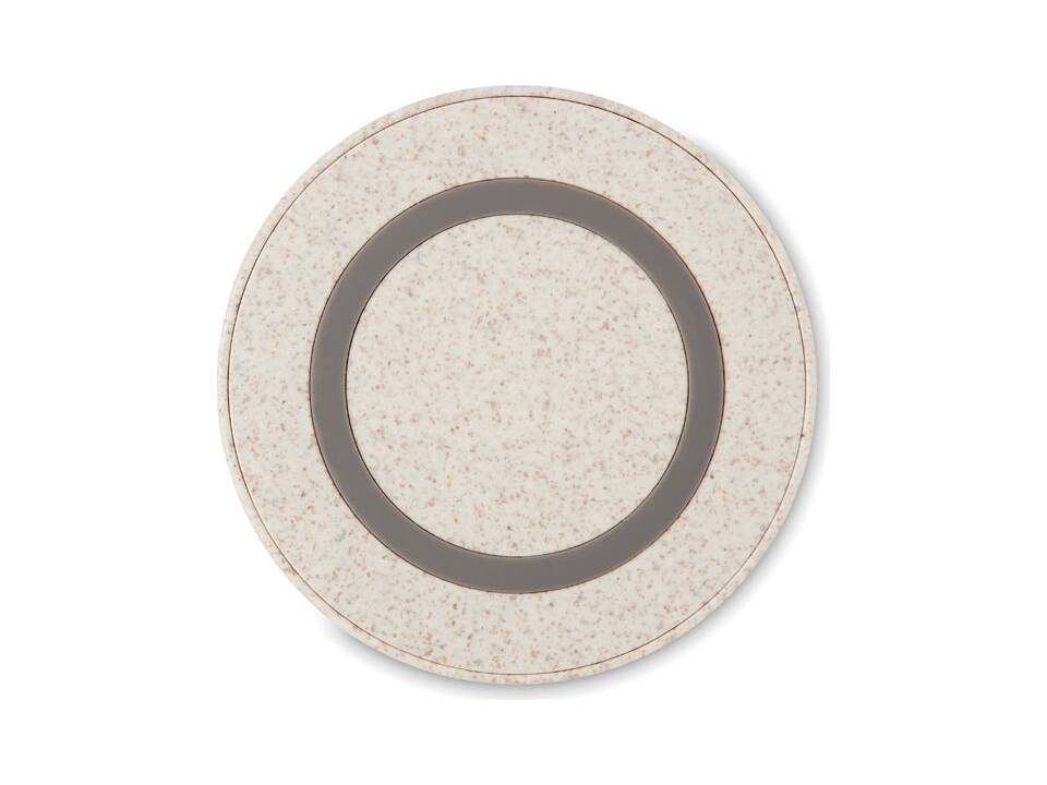 Tarwestro ABS oplader 6