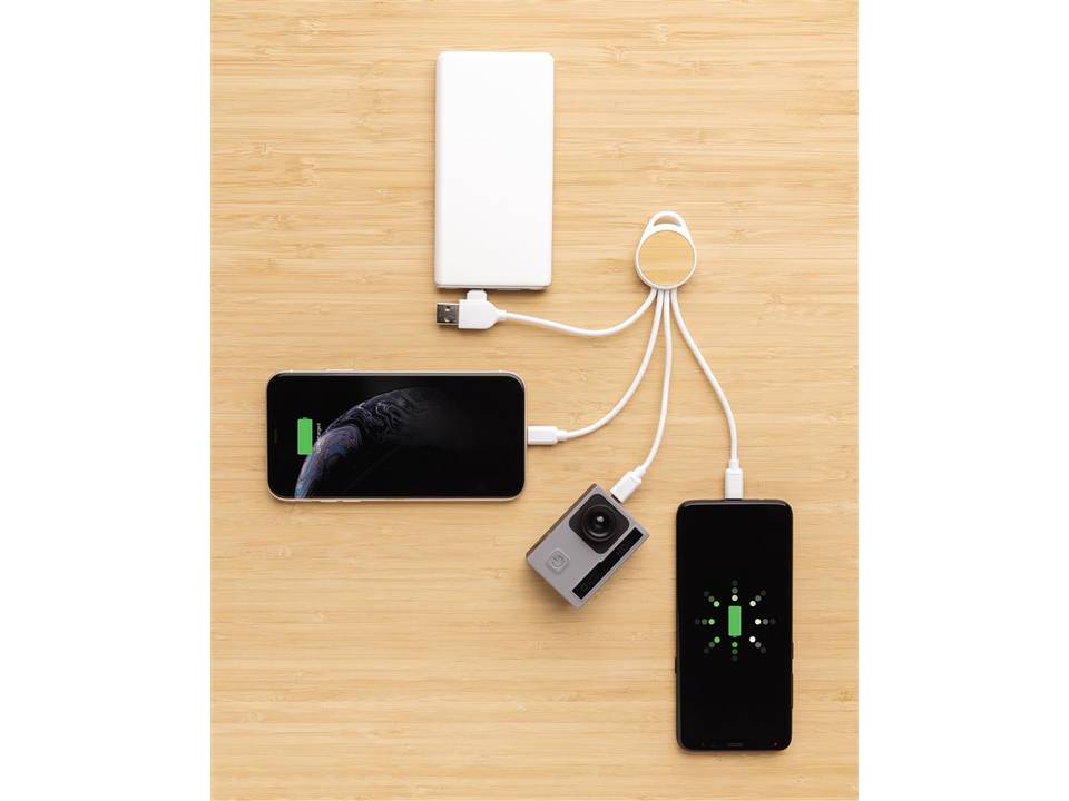 Ontario 6-in-1 kabel 4