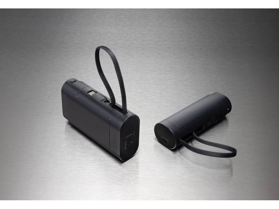 CycleCell 5000mAh powerbank met verwijderbare batterij 12