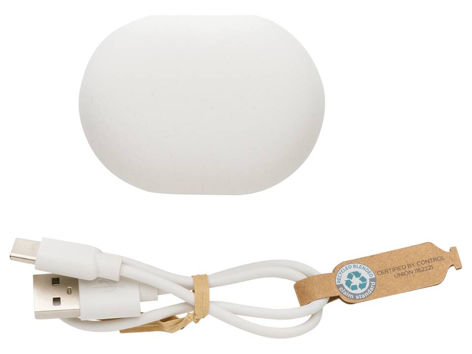 RCS standaard recycled plastic TWS oordopjes 8