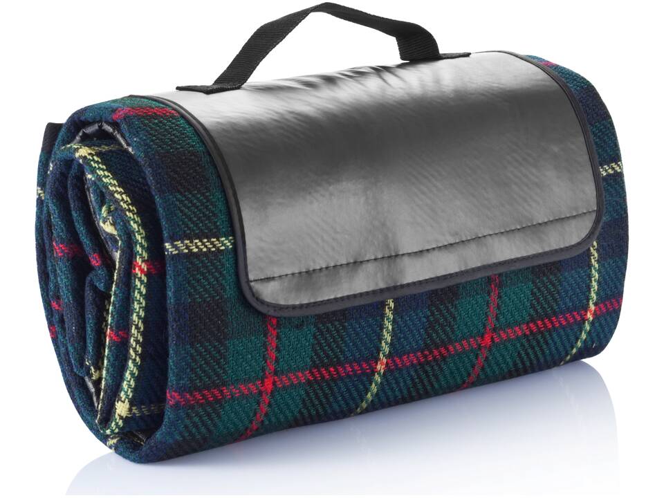 Picknickkleed met schotse ruit 2