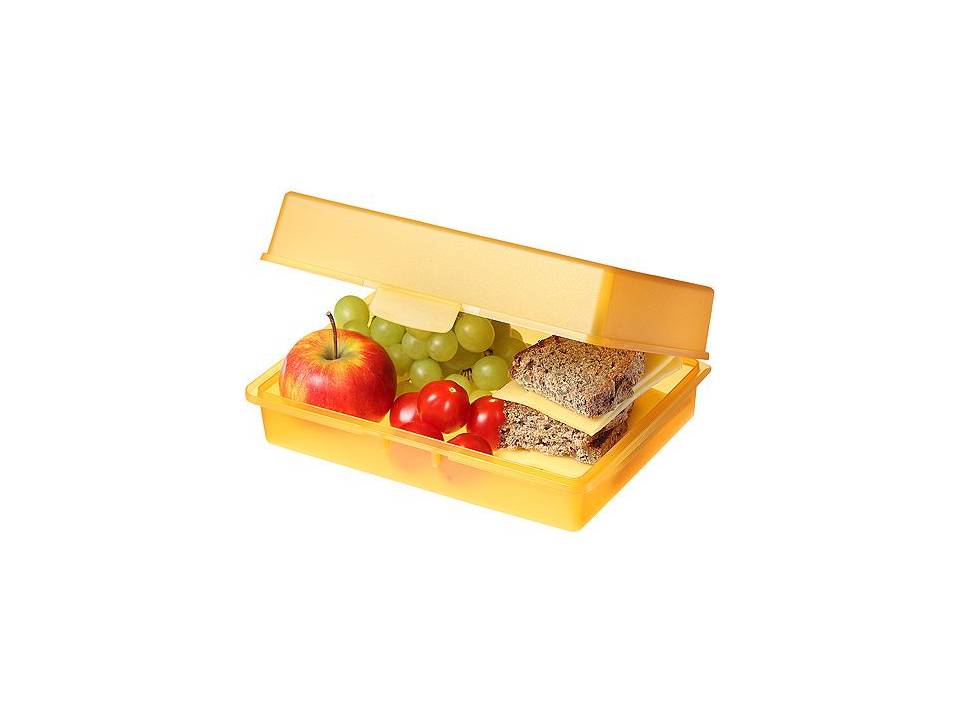 Picknickbox brooddoos