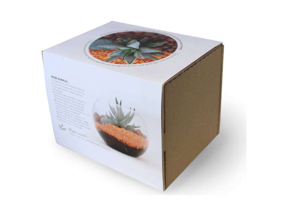 Mini-Terrarium Diy Kit 5