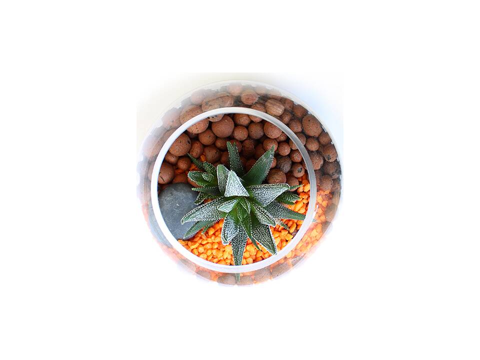 Mini-Terrarium Diy Kit 3