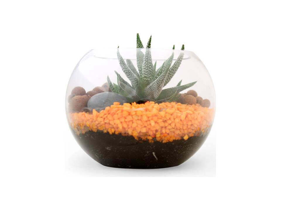 Mini-Terrarium Diy Kit 6