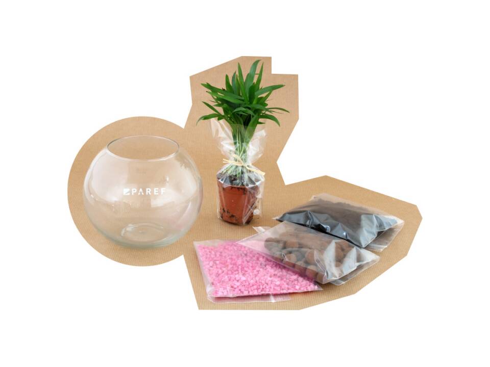 Mini-Terrarium Diy Kit 7