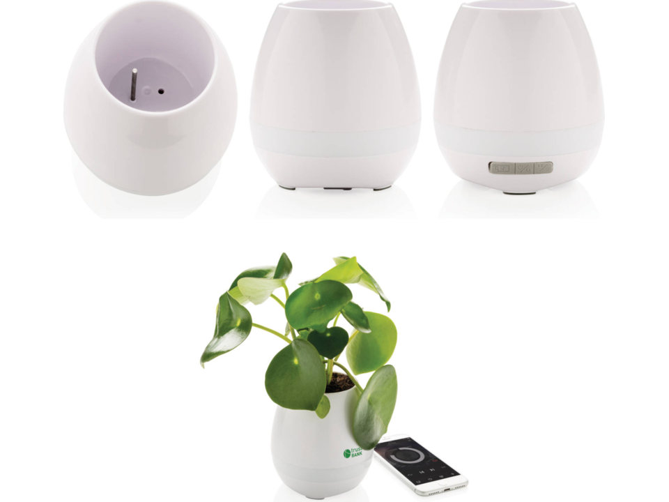 Plant speaker 8