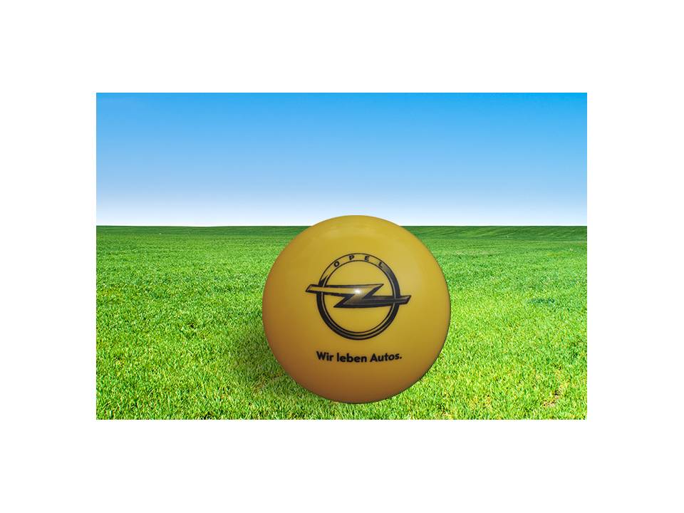 Plastic ballen - 22 cm 4