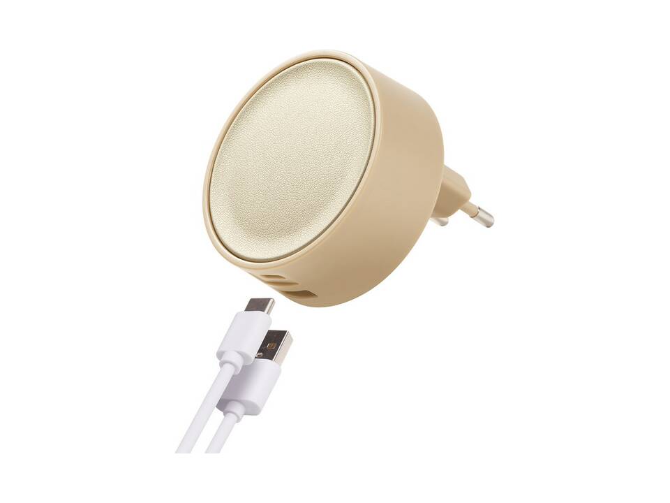 Dual USB-C en USB-A power lader