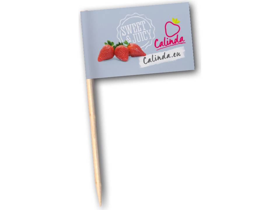 Evenementen partyprikker 21