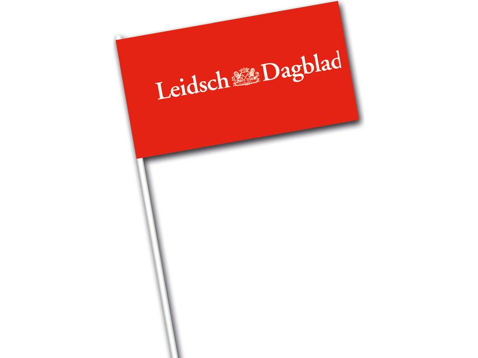 Promo vlaggetjes - papier 4