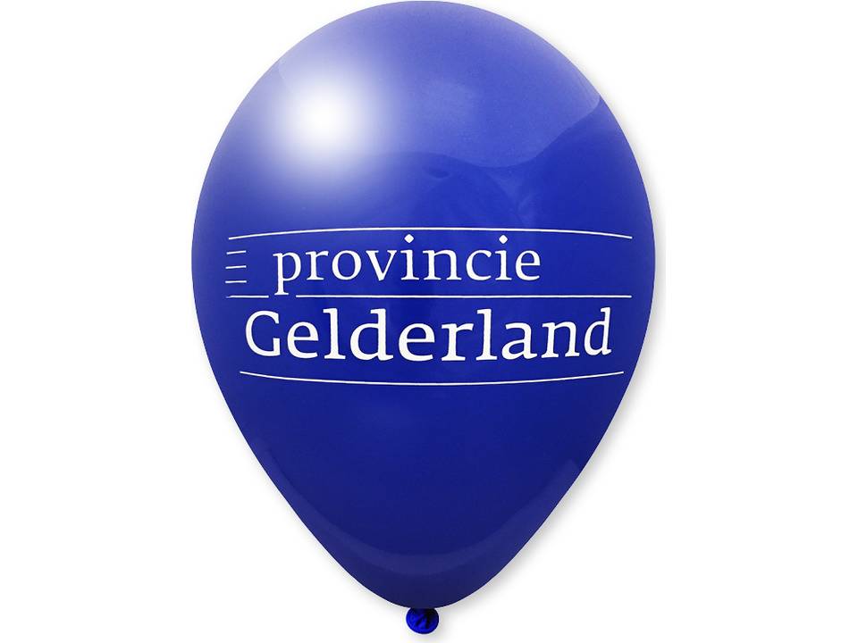 Ballonnen Ø27 cm - 1 kleur bedrukking 15