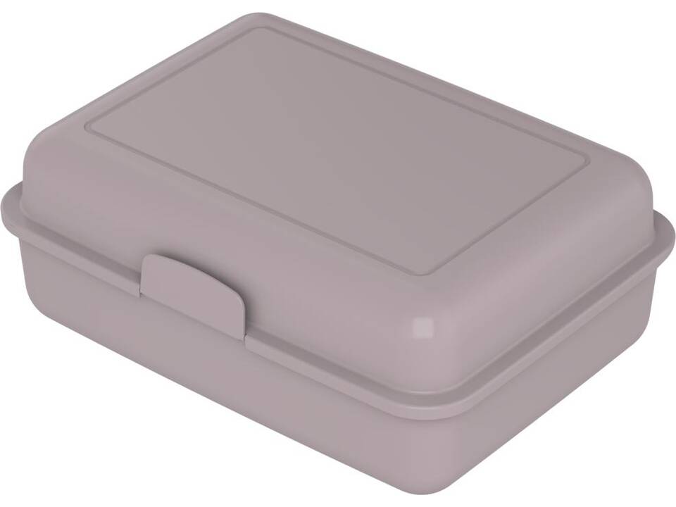 Schoolbox brooddoos 17,5 x 12,8 x 6,5 cm 1