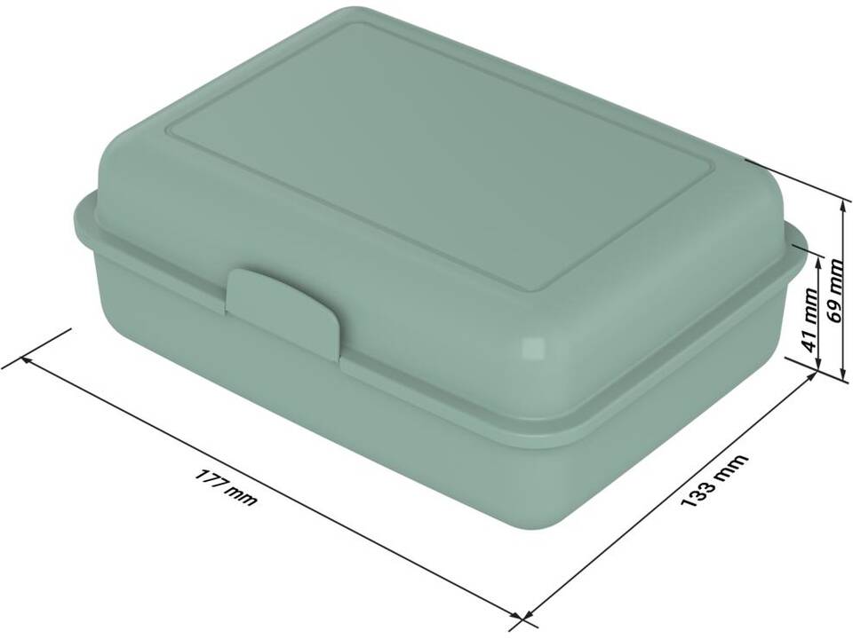 Schoolbox brooddoos 17,5 x 12,8 x 6,5 cm 2