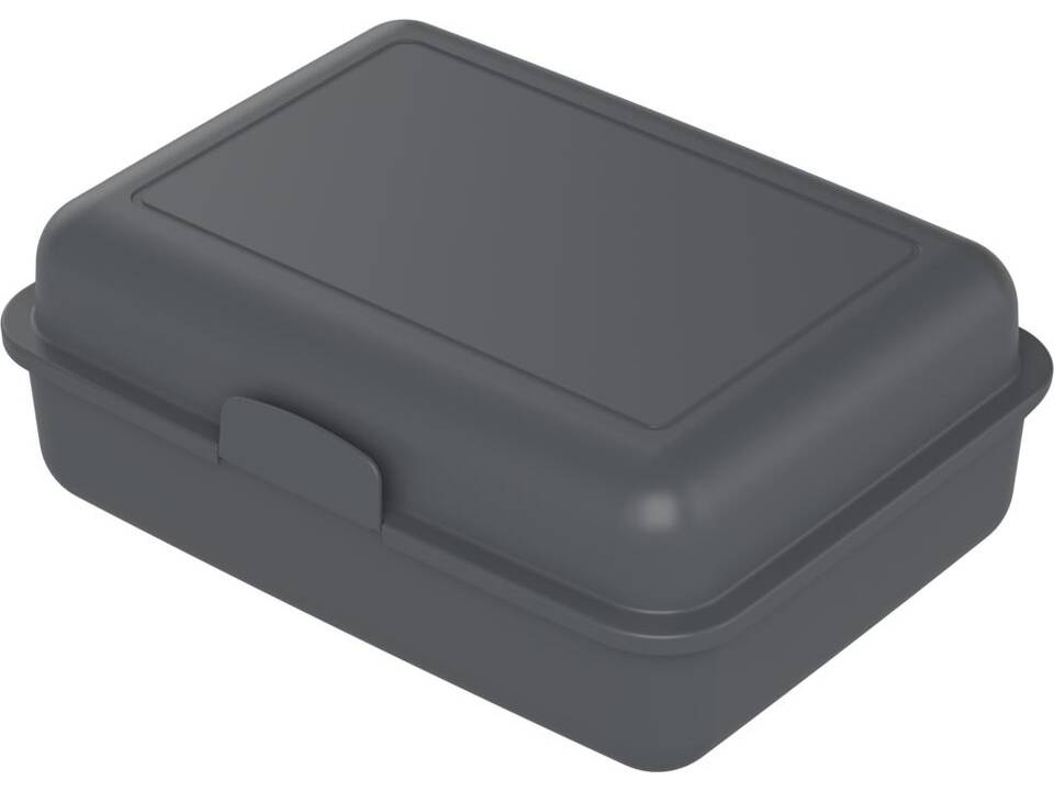 Schoolbox brooddoos 17,5 x 12,8 x 6,5 cm 5