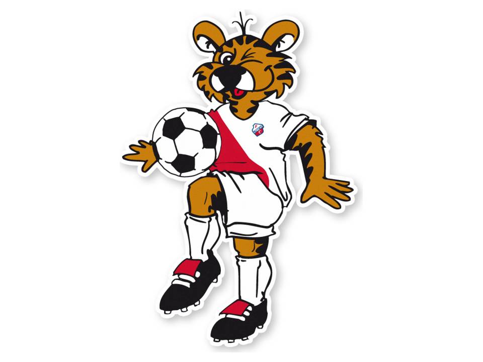 Stickers Full Colour stansvorm - tot 80 cm² 6