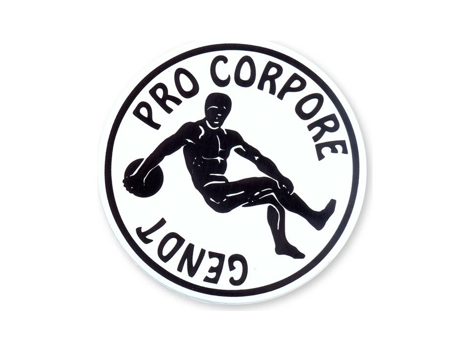 Stickers in zeefdruk - tot 60 cm² 10