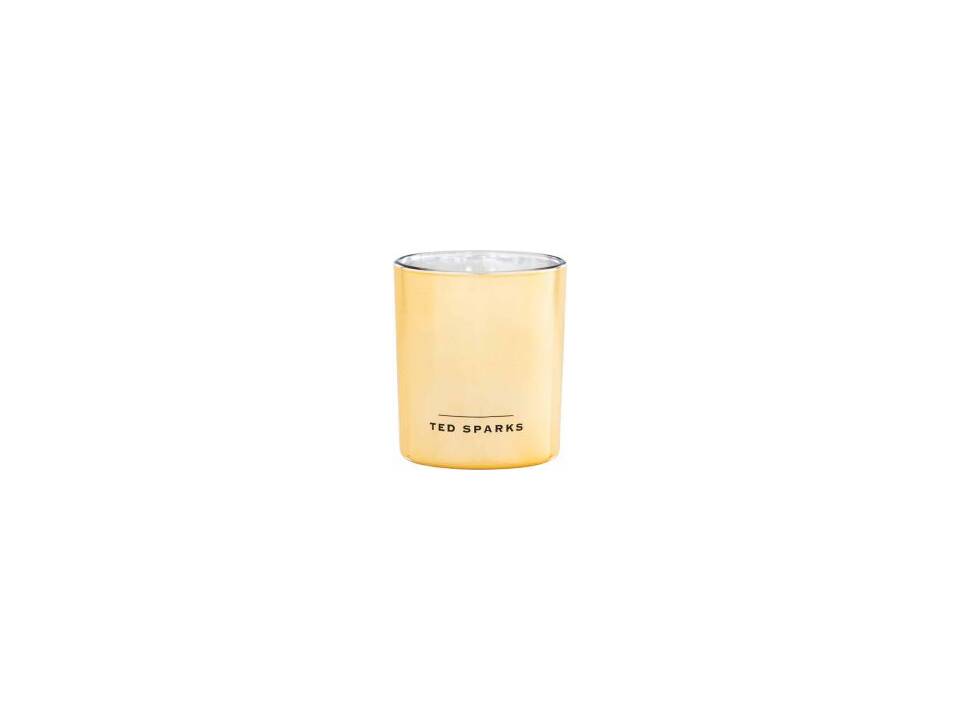 Ted Sparks Candle & Diffuser Gift Set 4