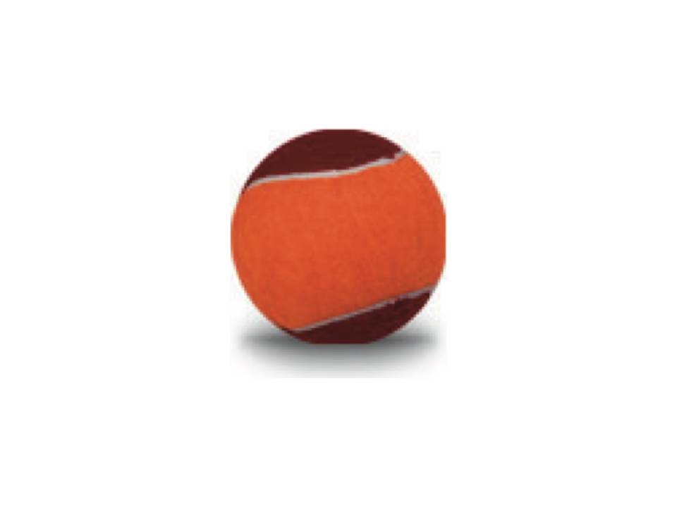 Tennis ballen Game Play 2 Tone 7