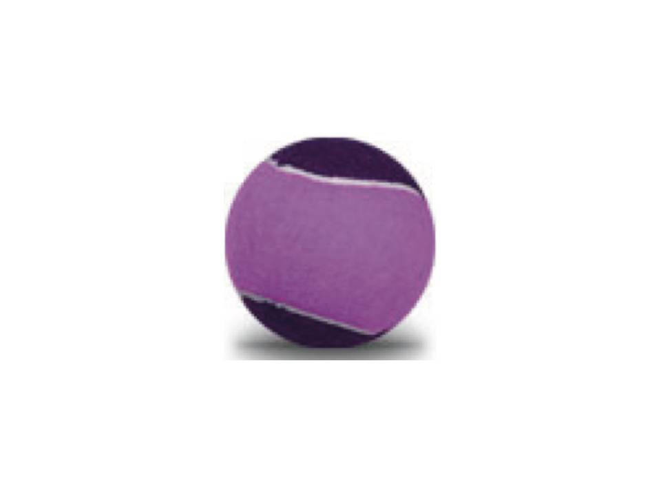 Tennis ballen Game Play 2 Tone 2