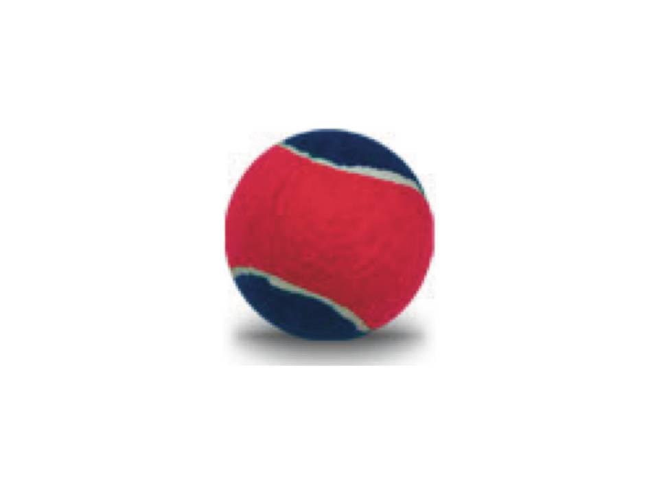 Tennis ballen Game Play 2 Tone 6