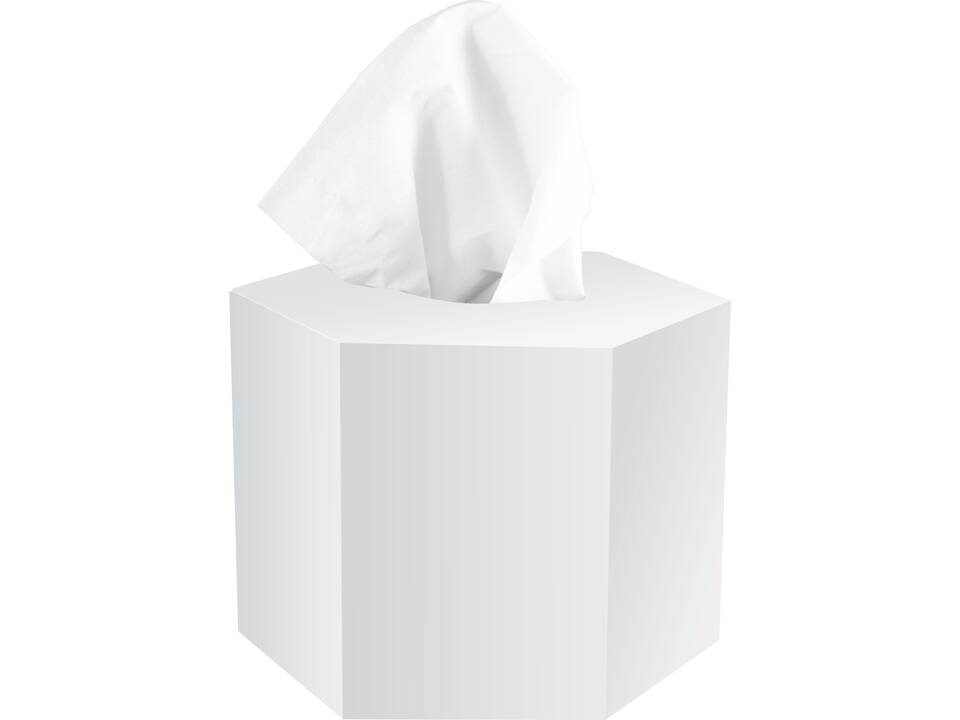 Tissue box hexagon 1