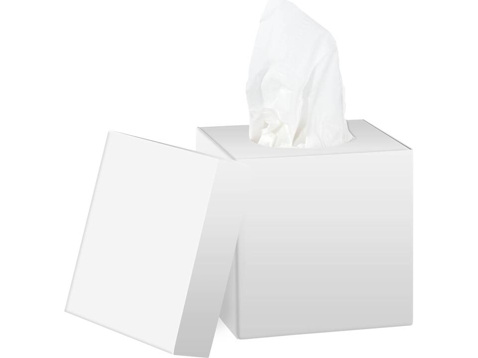 Tissue box met deksel 1