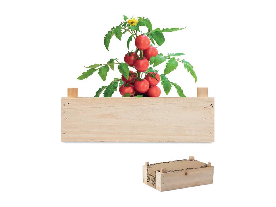 Tomaten kweekset met houten kratje