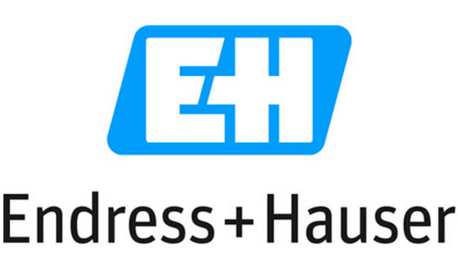 Endress Hauser Logo 2