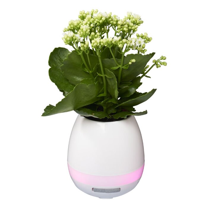 Bloempot Bluetooth luidspreker