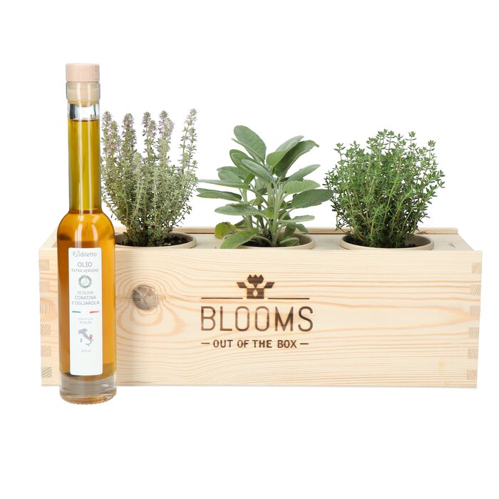 Bloomsbox kruiden met olijfolie en risottorijst
