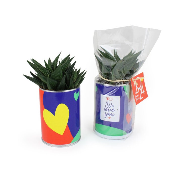 Blusselpotje met plant bedrukken