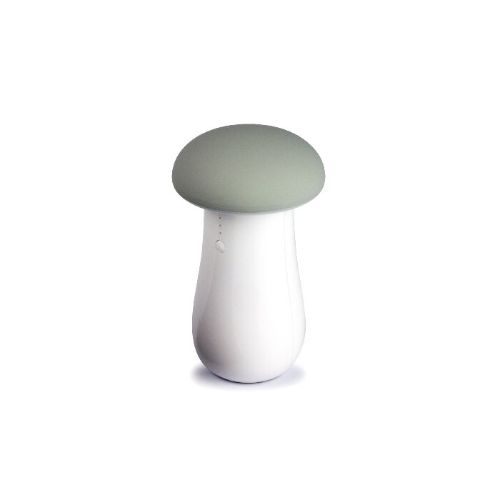 CM5212 mushroom 3