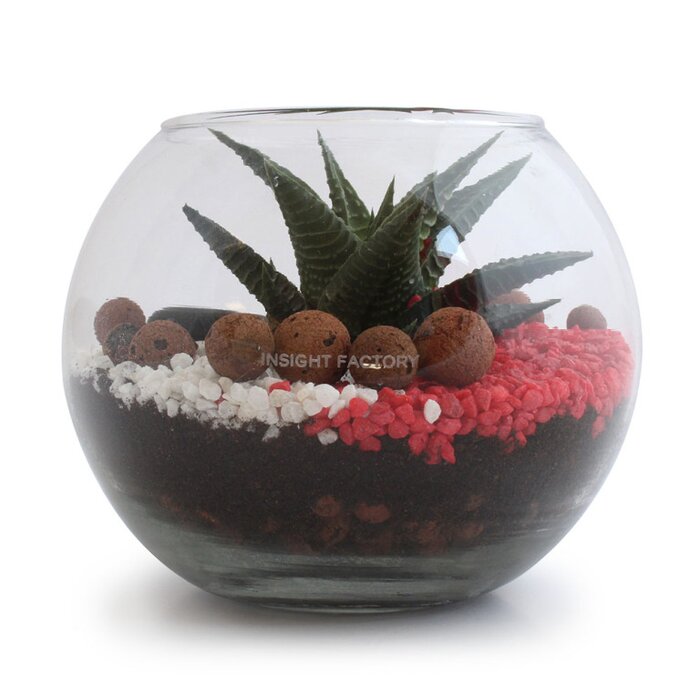 Mini-Terrarium Diy Kits
