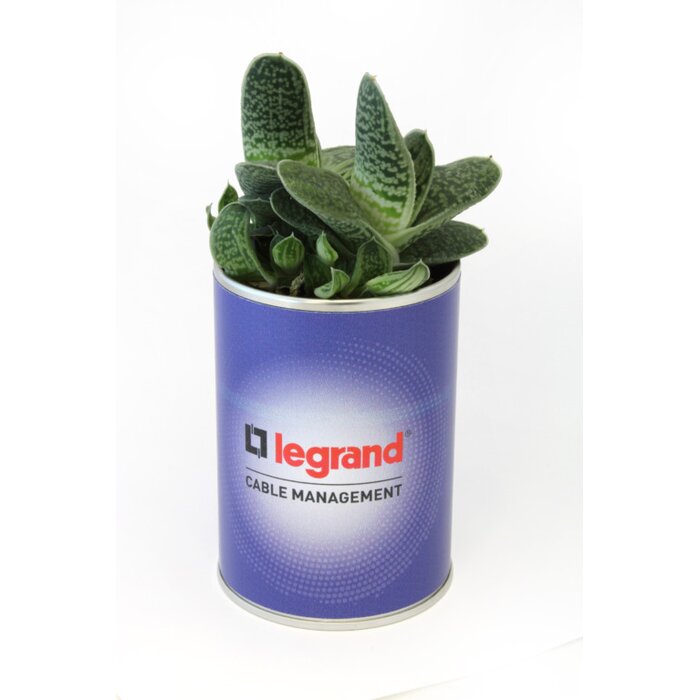 digital_printing
