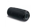 Grote speaker met schouderband 20W