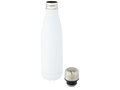 Cove vacuüm geïsoleerde roestvrijstalen fles - 500 ml 7