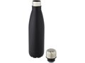 Cove vacuüm geïsoleerde roestvrijstalen fles - 500 ml 42