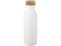 Kalix roestvrijstalen drinkfles - 650 ml