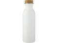 Kalix roestvrijstalen drinkfles - 650 ml 4