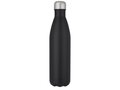 Cove vacuüm geïsoleerde roestvrijstalen fles - 750 ml 19