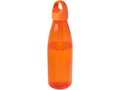 Bergen 800 ml waterfles ECO 10